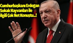 Cumhurbaşkanı Erdoğan Sokak Hayvanları ile  İlgili Çok Net Konuştu..!