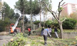 Dulkadiroğlu’nda Park ve Bahçeler Kışa Hazırlanıyor