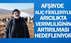 Afşin'de alıç fideleriyle arıcılıkta verimliliğinin artırılması hedefleniyor
