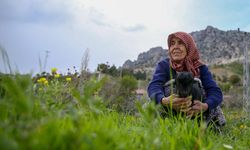 Depremlerin merkez üssü Kahramanmaraş'ta ilkbahar