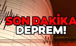 Kahramanmaraş ve Erzurum'da DEPREM OLDU! Dikkat sallanmaya devam ediyor...