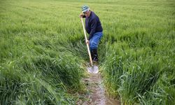 Depremin toprakta bıraktığı hasar sulamada sıkıntılara neden oluyor