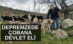 Depremzede çobana devlet eli 