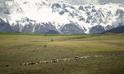 Kahramanmaraş’ta dağlar karla kaplandı!