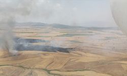 Kahramanmaraş'ta tarım arazisinde çıkan yangın söndürüldü