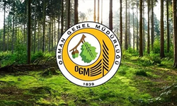OGM 1128 Orman Muhafaza Memuru Alımı!