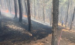 Kahramanmaraş'ta ormanlık alanda yangın çıktı
