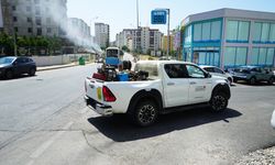 Büyükşehir, Zararlılarla Mücadele İçin 7/24 Sahada