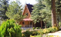Yalnız Ardıç Bungalov Evlerde Rezervasyonlar Başladı