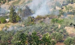 Kahramanmaraş'ta kazma bağlarında yangın çıktı