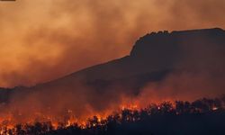 Orman yangınlarının yüzde 89’u insan kaynaklı