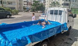 Kahramanmaraş’ta sıcaktan kavrulan çocuklar kamyonet kasasında serinliyor 