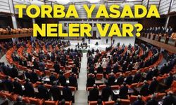 Kadro Çıkacak Mı? Ücretli Öğretmen, Belediye İşçisi, Taşeron, Kamu İşçisi, TYP’de SON DURUM