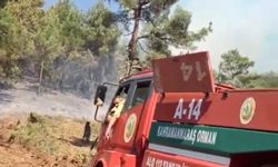 Türkoğlu’nda orman yangını 