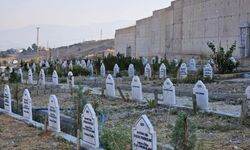 Şeyh Ali Sezai Efendi Mezarlığı kaderine terk edildi 