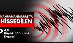 Kahramanmaraş'ta Hissedilen 4,8 Büyüklüğündeki Deprem!