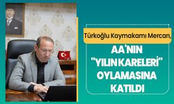 Türkoğlu Kaymakamı Mercan, AA'nın "Yılın Kareleri" oylamasına katıldı