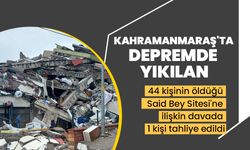 Kahramanmaraş'ta depremde yıkılan ve 44 kişinin öldüğü Said Bey Sitesi'ne ilişkin davada 1 kişi tahliye edildi