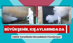 Büyükşehir, Kış Aylarında da Vektör Zararlılarla Mücadelesini Sürdürüyor