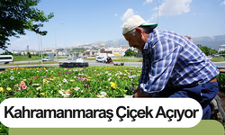 Kahramanmaraş Çiçek Açıyor