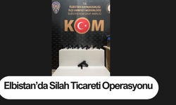 Elbistan’da silah ticareti operasyonu