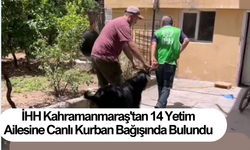 İHH Kahramanmaraş'tan 14 Yetim Ailesine Canlı Kurban Bağışında Bulundu