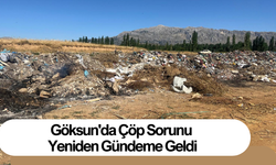 Göksun'da Çöp Sorunu Yeniden Gündeme Geldi