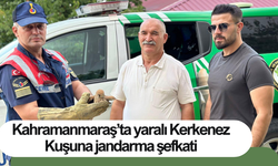 Kahramanmaraş’ta yaralı Kerkenez Kuşuna jandarma şefkati