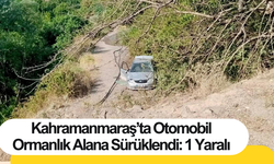 Kahramanmaraş’ta Otomobil Ormanlık Alana Sürüklendi: 1 Yaralı