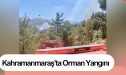 Kahramanmaraş’ta Orman Yangını