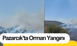 Pazarcık’ta Orman Yangını