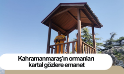 Kahramanmaraş’ın ormanları kartal gözlere emanet