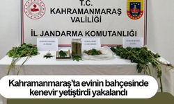 Kahramanmaraş’ta evinin bahçesinde kenevir yetiştirdi yakalandı