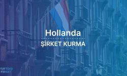 Hollanda'da Şirket Kurma Süreci ve Avantajları