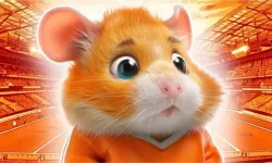 HAMSTER KOMBAT 15 EYLÜL GÜNLÜK ŞİFRE | Hamster Kombat yeni şifre ne, nasıl kullanılır? Hamster Kombat kombo kartları bel