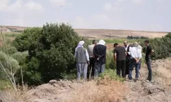 Narin'in dişleri mi söküldü? Narin'den otopsi için örnek alınamadı! Narin'e ne yaptılar?