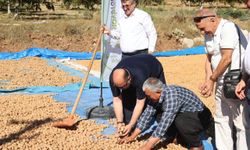 Kahramanmaraş’ta coğrafi tescilli ceviz ihracatı başladı