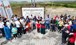 Engelsiz orman açıldı: Kahramanmaraş’ta anlamlı fidan etkinliği