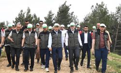 Kahramanmaraş Millet Ormanı’nda doğaya sahip çıkıldı