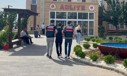 Kahramanmaraş’ta vicdanları sızlatan görüntüye 38 Bin TL ceza