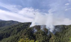 Kahramanmaraş Andırın’da Orman Yangını