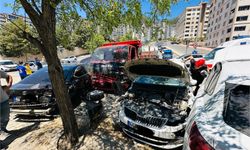 Kahramanmaraş’ta kamyonet araçları biçti