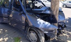 Kahramanmaraş’ta otomobil ağaca çarptı: 1 yaralı