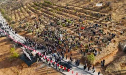 Deprem Şehitleri Hatıra Ormanı yenileniyor