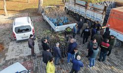 Büyükşehir’den Bin 500 Üreticiye 193 Bin Adet Fidan Desteği