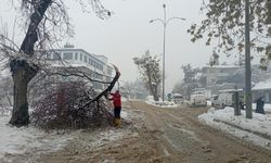 Büyükşehir Kış Mesaisini Sürdürüyor; Kırılan Dallara Anında Müdahale