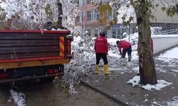 Yoğun Kar Yağışıyla Kırılan Ağaç Dallarına Hızlı Müdahale