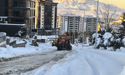Büyükşehir, Buzlanmanın Önüne Geçmek İçin Durmaksızın Sahada
