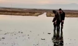 Kahramanmaraş’ta kaçak avcılara geçit yok: 5 kişiye ceza kesildi