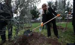 11 il için 11 fidan, İstanbul Bakırköy'de toprakla buluştu